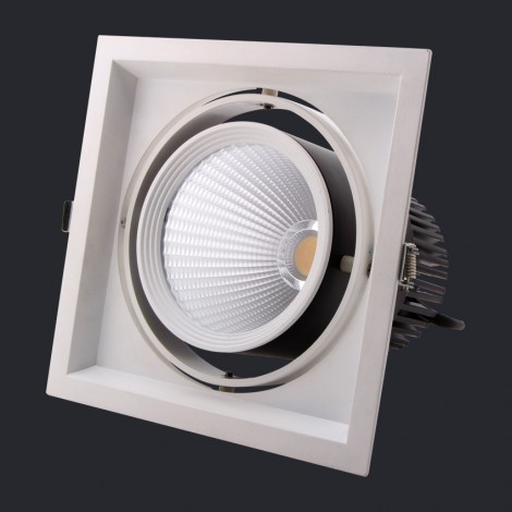 NEX Neolux LED Grille light 20W AC 100-240V/220-240V CRI80 3000K 15D/24D (GLI-1L06)