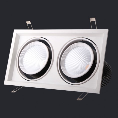 NEX Neolux LED Grille light 2*20W AC 100-240V/220-240V CRI80 3000K 15D/24D (GLI-2L06)