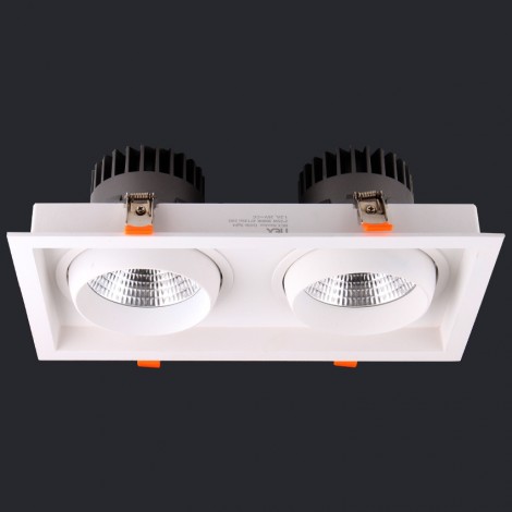 NEX Neolux LED Grille light 2*10W AC 100-240V/220-240V CRI90 3000K (GLI-2B04)