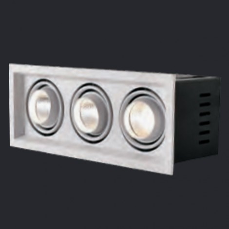 NEX Neolux LED Grille light 3*10W AC 100-240V/220-240V CRI80 3000K 15D/24D (GLI-3S03)