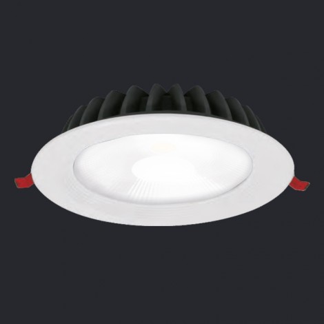 NEX Neolux LED Downlight 25W AC 100-240/220-240V CRI80 3000K 110D (DLI-T08)