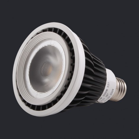 NEX Illumi PAR30 18W AC170-250V CRI80 6500K 24D IP65 E27 