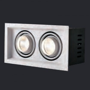 NEX Neolux LED Grille light 2*10W AC 100-240V/220-240V CRI80 3000K 15D/24D (GLI-2S03)