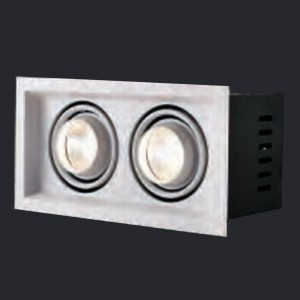 NEX Neolux LED Grille light 2*10W AC 100-240V/220-240V CRI80 4000K 15D/24D (GLI-2S03)
