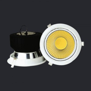 NEX Illumi LED Downlight 40W AC 85-265V 3000K CRI82 30D