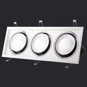 NEX Neolux LED Grille light 3*20W AC 100-240V/220-240V CRI80 3000K 15D/24D (GLI-3L06)