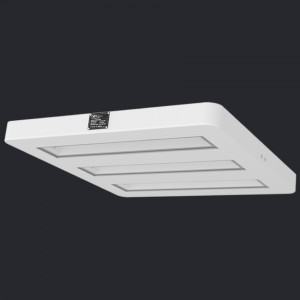 NEX Atom LED Canopy light 200W AC100-277V CRI75 5700K 120D  Surface IP65