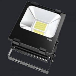 NEX Everest LED Flood light 100W AC100-277V CRI80 6000K 110D IP65