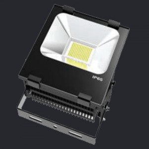 NEX Everest LED Flood light 240W AC100-277V CRI80 6000K 110D IP65