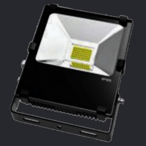 NEX Everest LED Flood light 30W AC100-277V CRI80 6000K 110D IP65