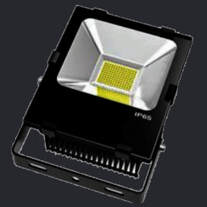 NEX Everest LED Flood light 50W AC100-277V CRI80 4000K 110D IP65