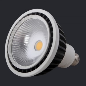 NEX Illumi LED Par38 20W AC170-250V 2700K 36D CRI80 E27